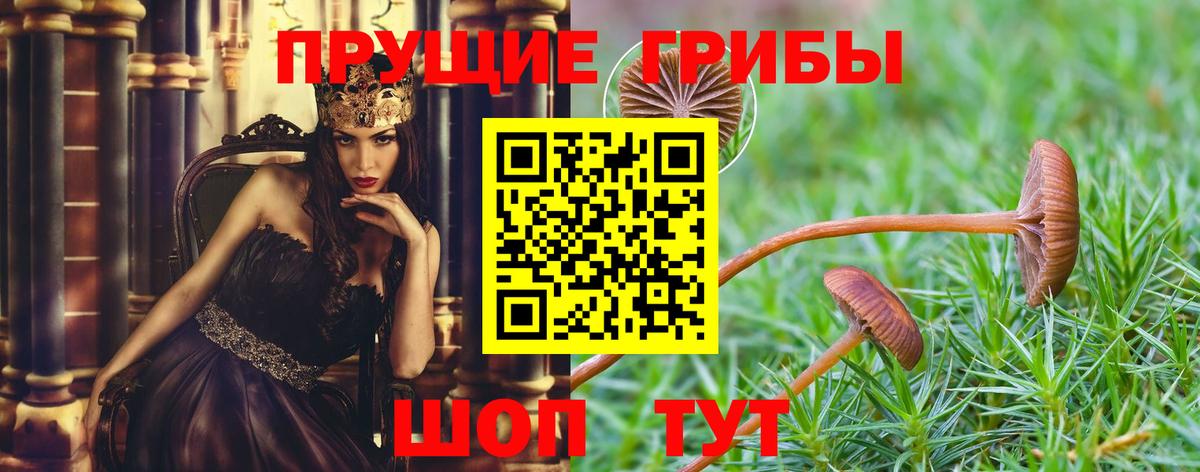 Галлюциногенные грибы GOLDEN TEACHER Кизляр
